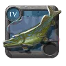 Corvina común